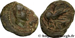 GALLIA - SANTONES / CENTROVESTE - Incerti Bronze CONTOVTOS (quadrans)