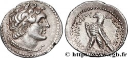 EGYPTUS - PTOLEMAIC KINGDOM - PTOLEMY VI PHILOMETOR Didrachme