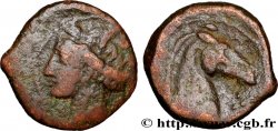 ZEUGITANE - CARTHAGE Shekel