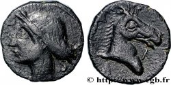 ZEUGITANE - CARTHAGE Double shekel