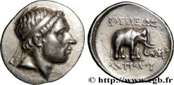 SYRIE - ROYAUME SÉLEUCIDE - ANTIOCHUS III LE GRAND Drachme