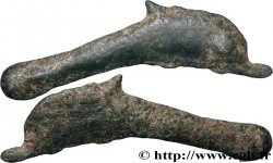 SARMATIE - OLBIA Dauphin