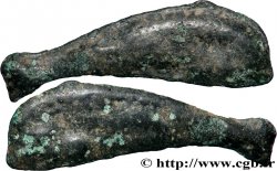 SARMATIE - OLBIA Dauphin