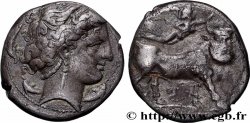 CAMPANIE - NEAPOLIS (NAPLES) Nomos, statère ou didrachme