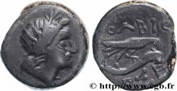 SARMATIEN - OLBIA Unité