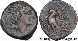 SYRIE - ROYAUME SÉLEUCIDE - ANTIOCHUS VIII GRYPUS Unité