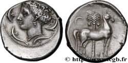 SICILE - SICULO-PUNIQUES - CÉPHALOÉDIUM Tétradrachme