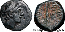 SYRIEN - SELEUKIDICHES KÖNIGREICH - ANTIOCHOS VIII GRYPOS Unité