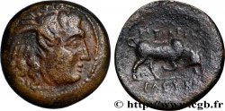 SYRIE - ROYAUME SÉLEUCIDE - SÉLEUCUS Ier NICATOR Unité