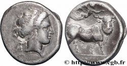 CAMPANIA - NEAPOLIS Nomos, statère ou didrachme