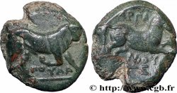 APULIE - ARPI Unité