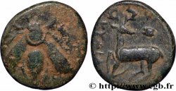 IONIEN - EPHESOS Unité