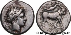 CAMPANIE - NEAPOLIS (NAPLES) Nomos, statère ou didrachme