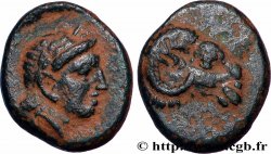 TROAS - CEBRENE Unité