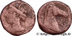 ZEUGITANE - CARTHAGE Shekel