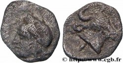 MYSIE - CYZIQUE Hemiobole