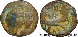 NABATEA - NABATEAN KINGDOM - ARETAS IV Unité