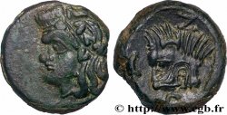 TAURIC CHERSONESE - PANTICAPEUM Unité