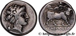 CAMPANIE - NEAPOLIS (NAPLES) Nomos ou didrachme
