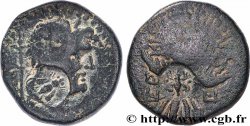 PISIDIE - TERMESSUS Unité