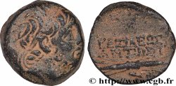SYRIE - ROYAUME SÉLEUCIDE - ANTIOCHUS VIII GRYPUS Unité