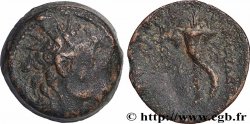 SIRIA - REGNO DI SIRIA - ALESSANDRO II ZEBINA Dichalque