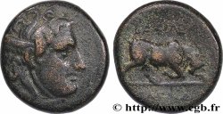 SYRIA - SELEUKID KINGDOM - SELEUKOS I NICATOR Unité
