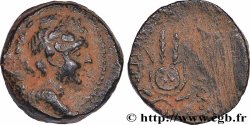 SYRIA - SELEUKID KINGDOM - ANTIOCHOS VII SIDETES Unité