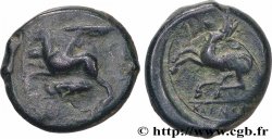 SICILIA - ALASEA (KAINON) Hemilitron