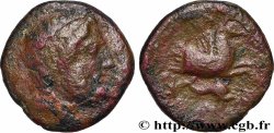 SICILE - PANORME Hexas