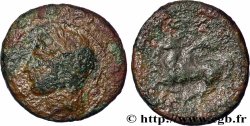SICILY - SYRACUSE Hemilitron