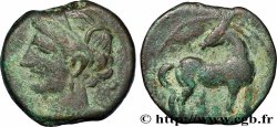 ZEUGITANE - CARTHAGE Shekel