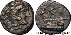 SYRIA - SELEUKID KINGDOM - SELEUKOS II KALLINIKOS Unité