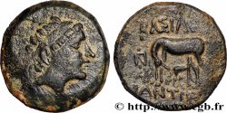 SYRIA - SELEUKID KINGDOM - ANTIOCHOS III THE GREAT Unité