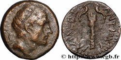 SYRIA - SELEUKID KINGDOM - ANTIOCHOS III THE GREAT Hemichalque
