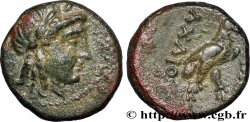 SYRIA - SELEUKID KINGDOM - ACHAEUS Unité