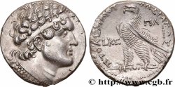 EGYPT - LAGID OR PTOLEMAIC KINGDOM - PTOLEMY VI PHILOMETOR Tétradrachme