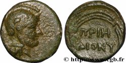 IONIA - PRIENE Demi-unité