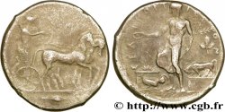 SICILE - SÉLINONTE Tétradrachme