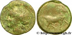 ZEUGITANIA - CARTHAGE Triple shekel
