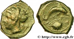 SICILE - SYRACUSE Hemilitron TTB