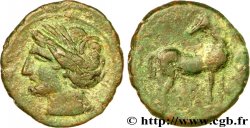 ZEUGITANE - CARTHAGE Shekel TTB/TB+