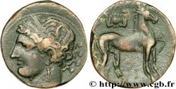 ZEUGITANE - CARTHAGE Double shekel