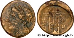 LUCANIE - THURIUM Quadrans TTB