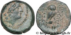 SYRIA - SELEUKID KINGDOM - CLEOPATRA THEA and ANTIOCHUS VIII GRYPUS Unité B XF/VF