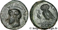 SICILE - CAMARINA Tetras SUP