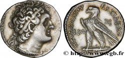 ÉGYPTE - ROYAUME LAGIDE - PTOLÉMÉE VI PHILOMÉTOR Tétradrachme