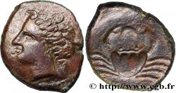 BRUTTIUM - TÉRINA Tetras TTB