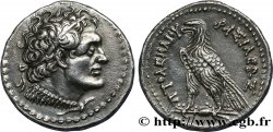 ÉGYPTE - ROYAUME LAGIDE - PTOLÉMÉE VI PHILOMÉTOR Tétradrachme SPL