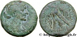 LAGID KINGDOM - CLEOPATRA VII AND PTOLEMY XIII Quatre-vingts drachmes VF